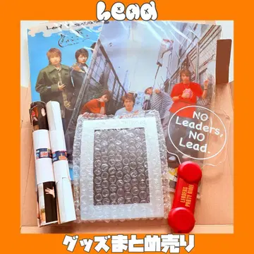 Lead 굿즈 Upturn LDP 리다파 포스터 응원봉 사진 액자