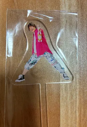 타니야마 키쇼 아크릴 마들러 KPF2025 이이치코 한정품