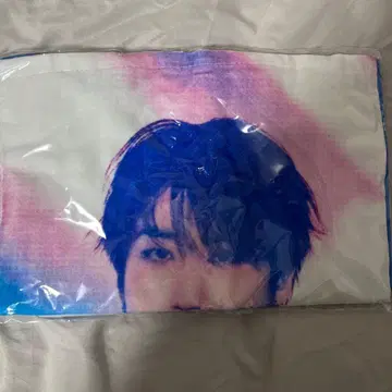 straykids 라이브 사진 타월 한정 WORLD TOUR