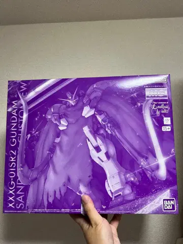 MG 1/100 건담 산드로크 EW