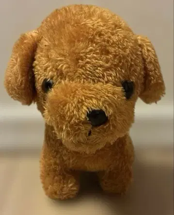 토이 푸들 강아지 봉제 인형