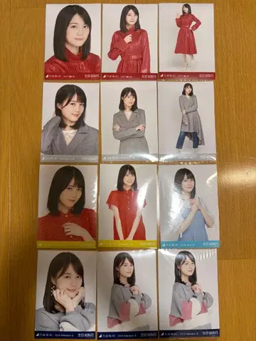 이쿠타 에리카 브로마이드 12장 세트