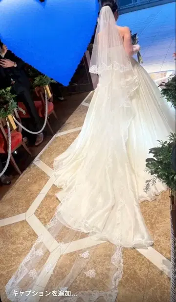 브라이덜 잡화 베일, 그로브, 치프