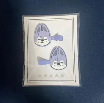 straykids 방찬 울프찬 헤어 클립 돔 투어