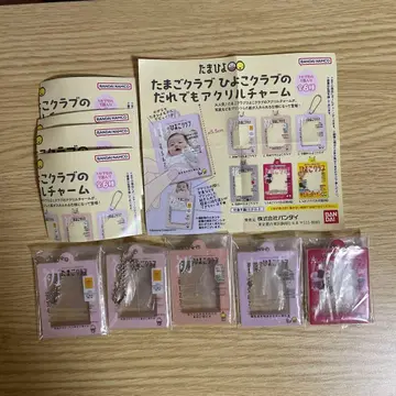 타마고 클럽 병아리 클럽의 누구나 아크릴 참 5개 세트