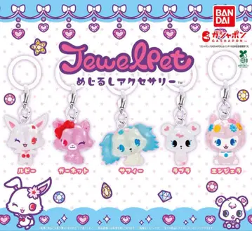 주얼펫 메지루시 액세서리 풀 컴프