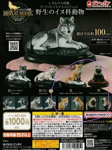 동물 피규어 세트 ( 여우 너구리 )