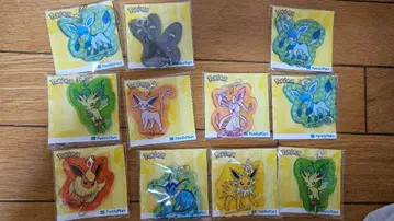 패밀리마트 부스터즈 아크릴 키링 이브이 블래키