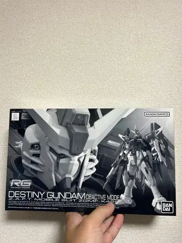 RG 1/144 데스티니 건담 디액티브 모드