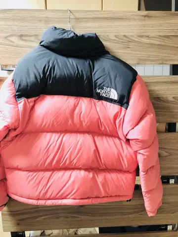 THE NORTH FACE 눕시 숏 다운 자켓