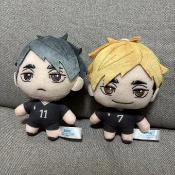 하이큐 세가 럭키 쿠지 미야 아츠무, 미야 오사무