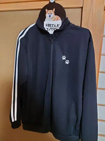 시바견 뭘 봐 이 자식아 저리 L 사이즈 블랙