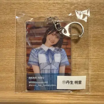 니부 아카리 키링