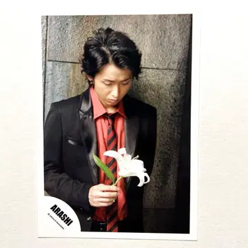 아라시 오노 사토시 공식 사진 백합
