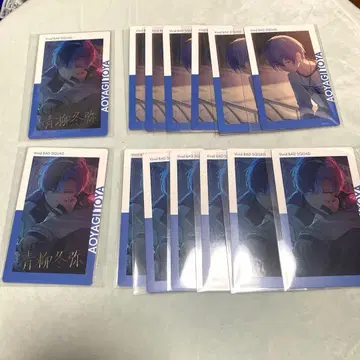 아오야기 토야 에피카 프로세카 22B 금박