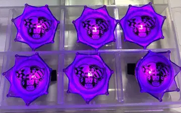 시모츠키 쥬시 링 라이트