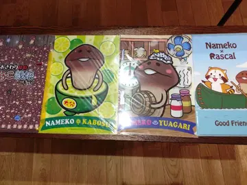 만지면 알 수 있는 탐정 버섯 재배 키트 클리어 파일 4장 세트