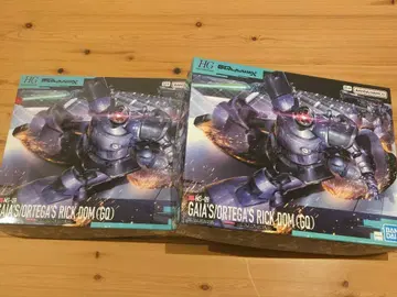 [ 미사용 ] HG 1/144 릭 돔 가이아기/ 오르테가기(GQ) 2기