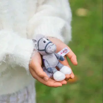 골드십 키링 NICI 키링