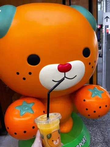 미캉보야 festa BIG 봉제 인형 30cm 스다치짱