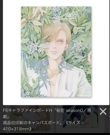 [ 최종 가격 인하 ] 시미즈 레이코 비밀 원화전 캔버스 아트