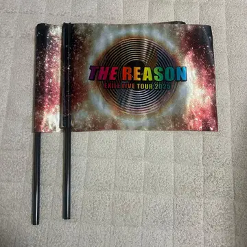 EXILE LIVE TOUR 2025 플래그 2개 세트