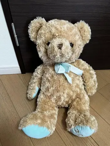 [ 중고 ] 2022년제 Teddy Bear 테디베어 봉제 인형