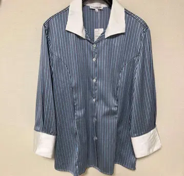 나라까미체 사이즈 IV 블라우스