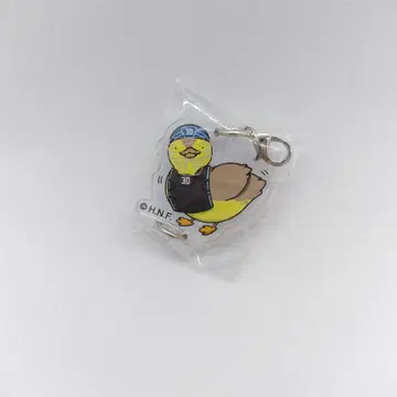 FIGHTERS 카루가모대 코가모 아크릴 키링 #30 군지 유야