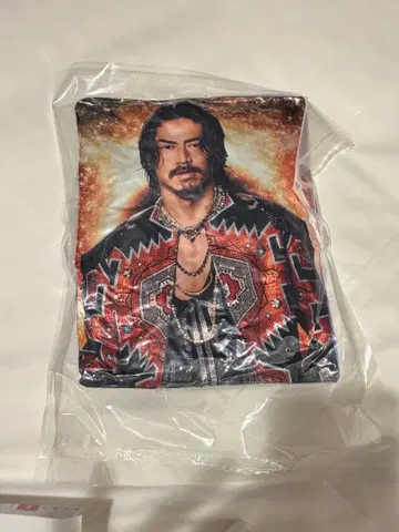 AKIRA EXILE 라이브 투어 2025 캡슐 쿠션