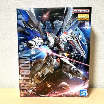 MG 프리덤 건담 Ver.2.0