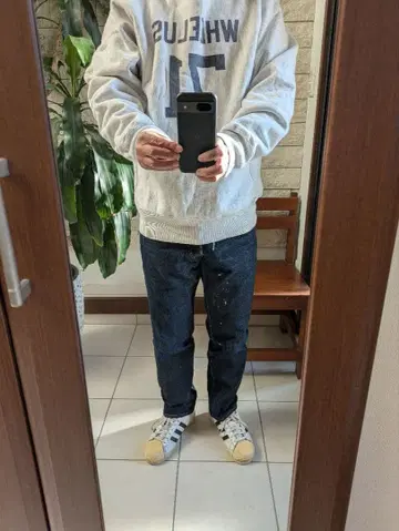 드라이 본즈 대전 모델