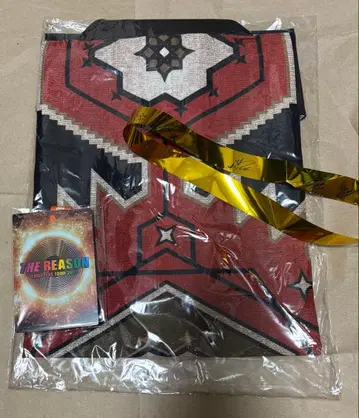 EXILE 업그레이드 굿즈 하피 넥스트랩 패스 은테 포함