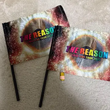 THE REASON EXILE LIVE TOUR 플래그 2세트