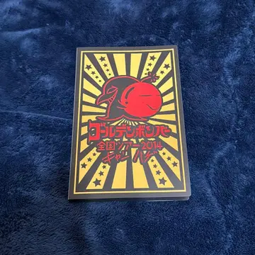 [세트 판매] 골든 폭격기 캠대머리 카드 홀더(카드+폴라로이드)