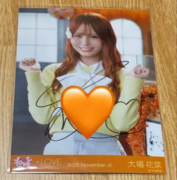 코모레비 메조포르테 사진 직필