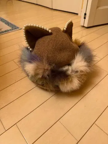 사튤 고양이 모자