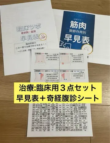 임상용 3종 세트 [ 증상 근육 혈자리표 + 기경복진 시트 ]