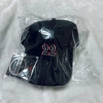 straykids 승민 캡 dominate 에코파