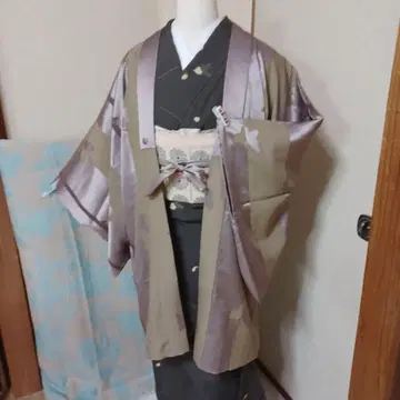 모방 겉옷 나비