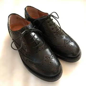 Viento Americano 레이스업 슈즈 윙팁 24cm