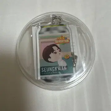 세븐틴 승관 키링