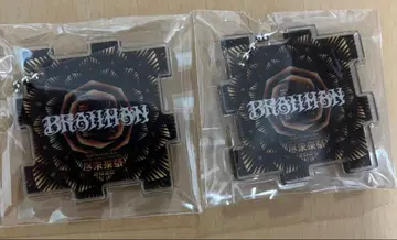 진미래제 2025 가챠 브라만 아크링 키링 2개 세트