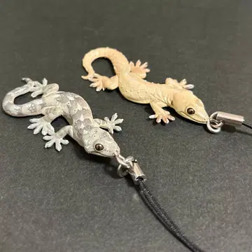 네이처 테크니컬러 도마뱀과 도마뱀 호오구로 도마뱀 일본 도마뱀