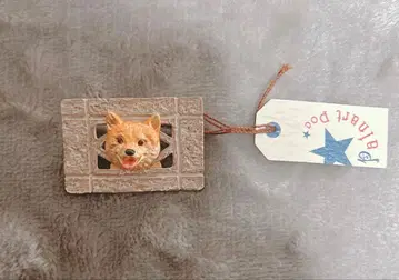 파르나토팍 블록 담장의 틈새에서 브로치 강아지