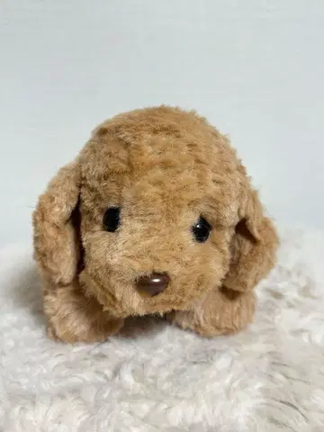 몬스이유 파프스 봉제 인형 토이 푸들 강아지