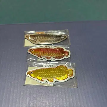 아로아나 마그넷 3마리 세트