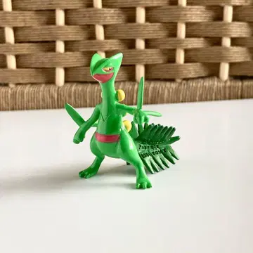 포켓몬 몬코레 주카인