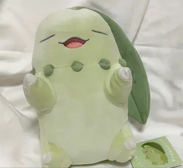 포켓몬 말랑봉제인형 굿나잇 치코리타 포켓몬 센터 새상품