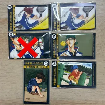 오테페스 완전판 캔뱃지 카이도 카오루 세트